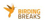 Logo BirdingBreaks groot